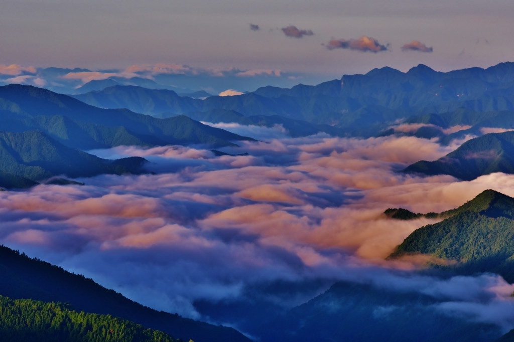 吉野エリア4009934