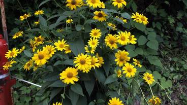 施設の敷地 / 20