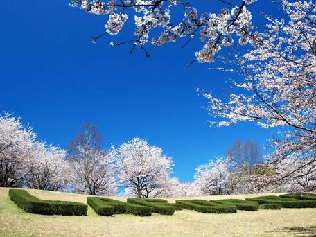 ホテルラフォーレ修善寺 / 1