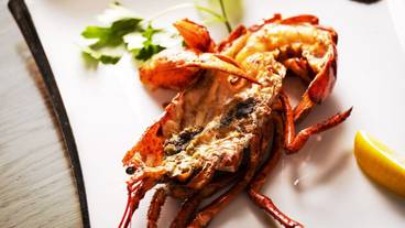 食事・飲み物 / 8