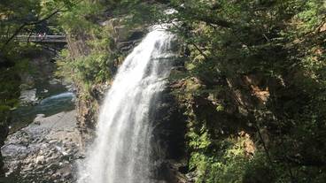 施設の敷地 / 32