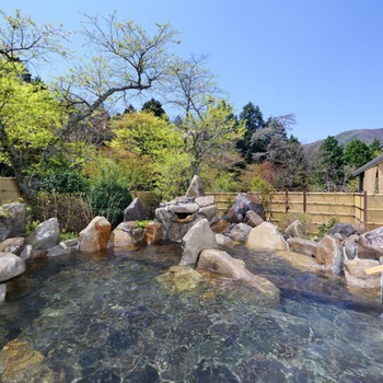 3．仙石原温泉　箱根高原ホテル3702395