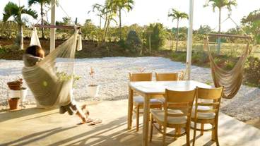 施設の敷地 / 11