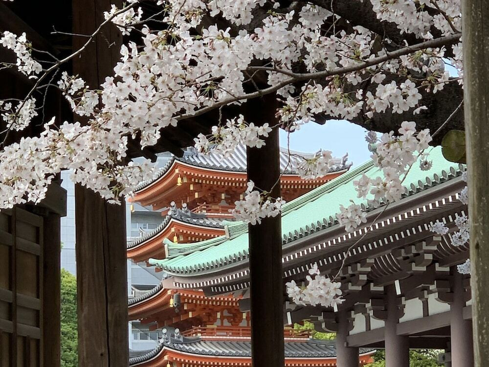 観光スポット
