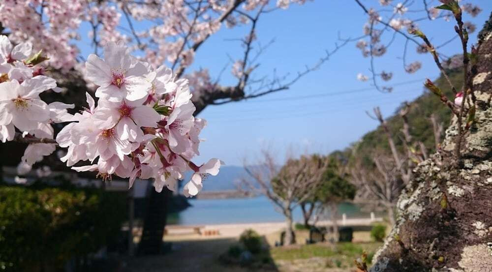 ビーチ / オーシャン ビュー