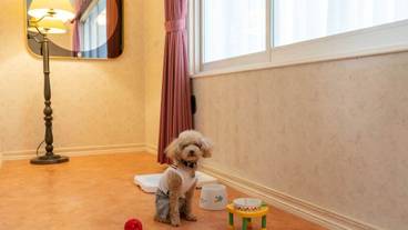 リビング エリア / 35