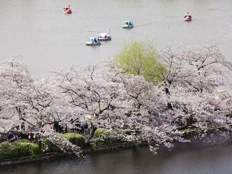 上野ステーションホステル オリエンタル 1 / 4