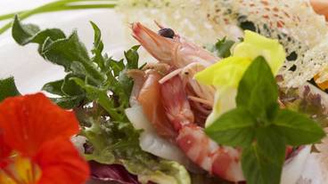 料理イメージ / 3