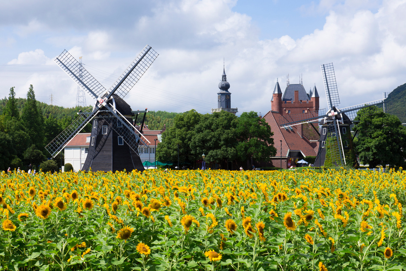 まるでヨーロッパ⁉ 目の前に広がる心ときめく風景1891265