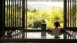 箱根の源泉掛け流し宿へ♪名湯めあてに行きたい温泉旅館14選