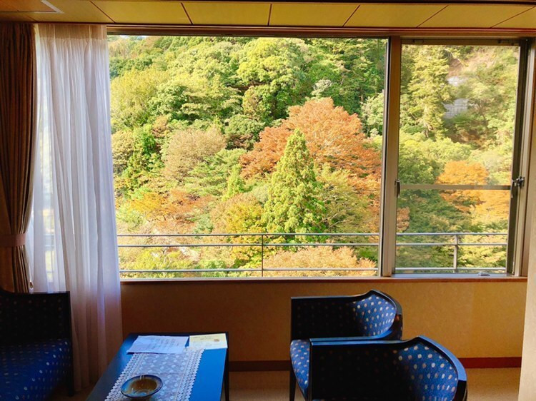 大きな窓から紅葉がよく見えて絶景でした！今回はのんびり過ごすのが目的だったので、お部屋でゆっくり。