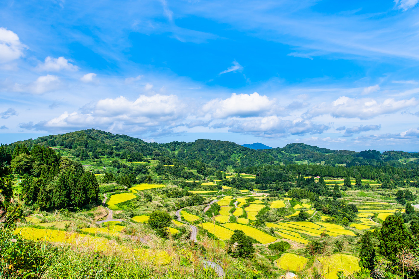 新潟県十日町市　星峠の棚田　～秋・稲刈り間近～