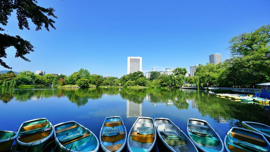 朝の中島公園　菖蒲池 / 1