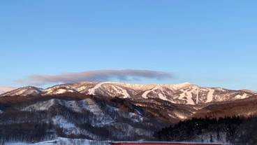 施設の敷地 / 13