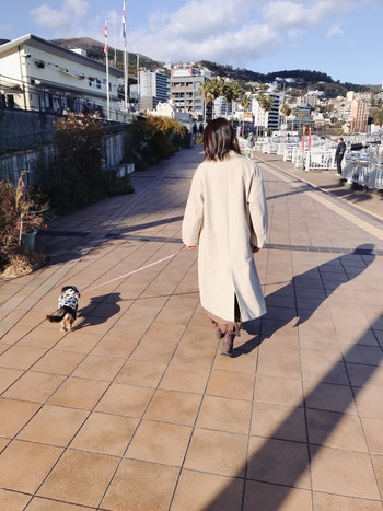 天気が良くて気持ちのいい日に、海辺を歩いてきました。