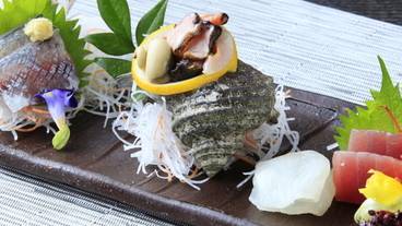 和モダンで愉しむ西伊豆ダイニング 西伊豆 今宵（ワモダンデタノシムニシイズダイニング ニシイズ コヨイ） / 4