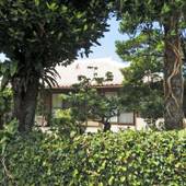 沖縄の古民家 ミーヤー（今帰仁村）（沖縄県 コテージ・ロッジ・一棟貸） / 3