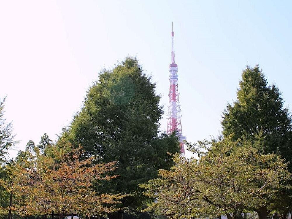 観光スポット