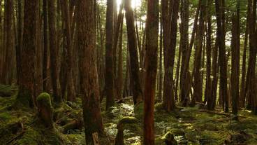 ハイキング / 13