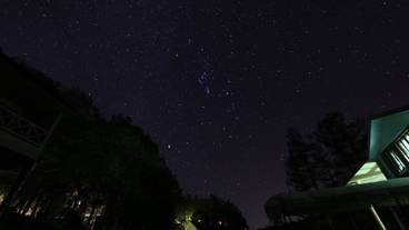 施設の敷地 / 21