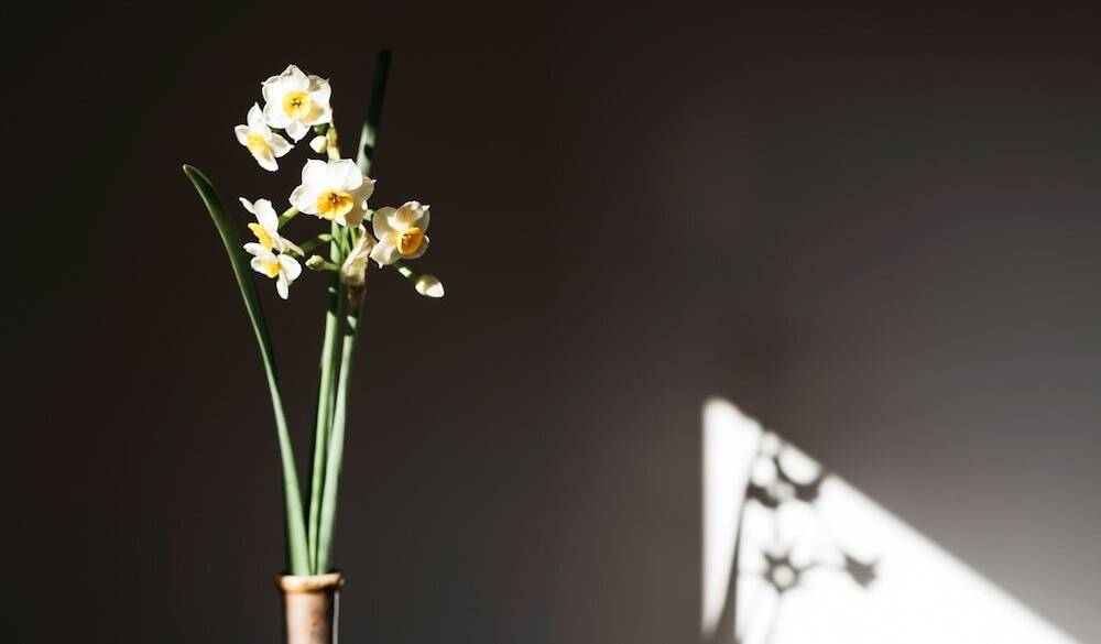 さりげなく飾られた花も画になる / 5