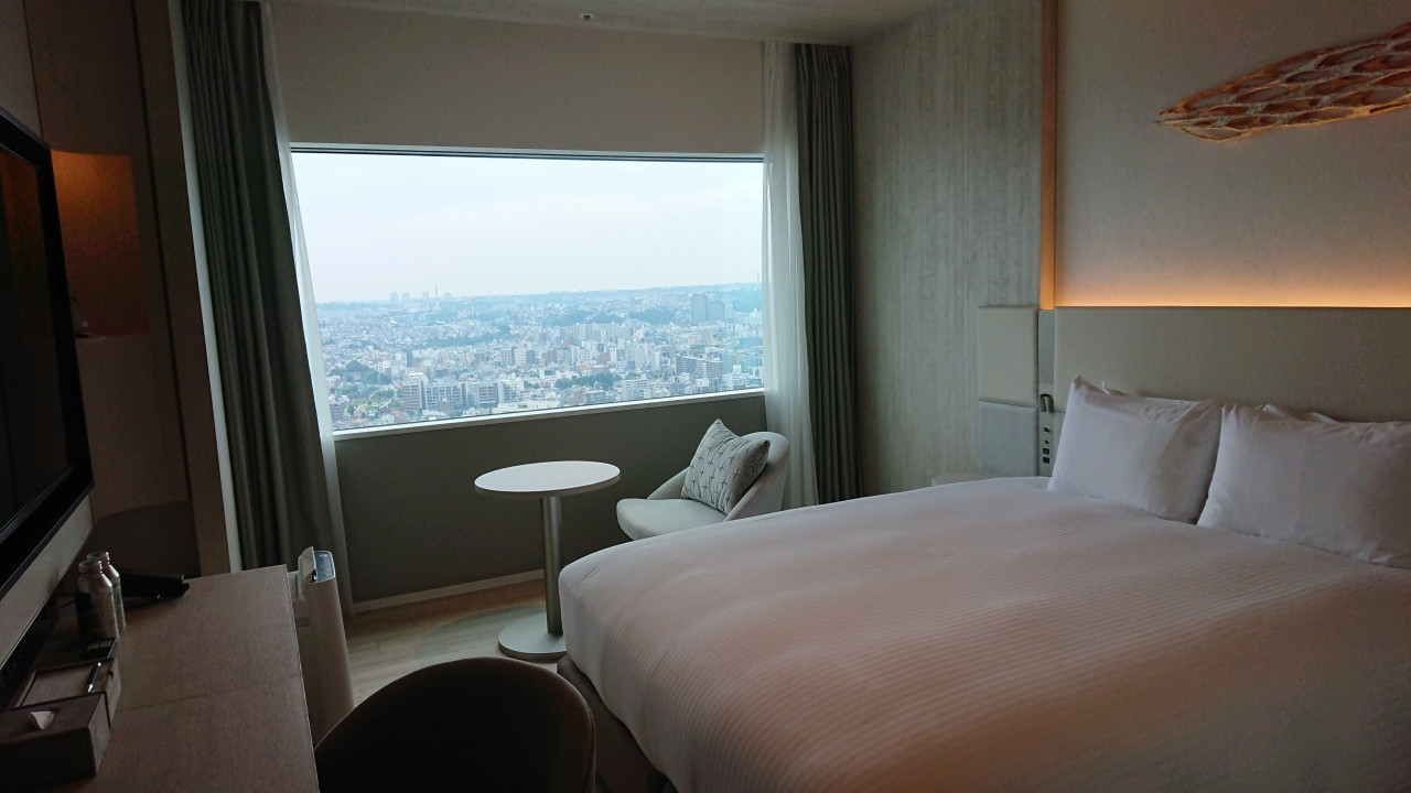 部屋からの眺望。高層階だが、まあ、こんなものだと思います。