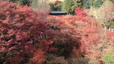 観光スポット / 2