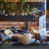 メキシカンバー　内観 / 2