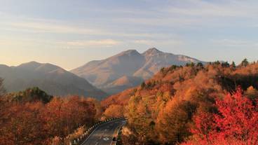 観光スポット / 12