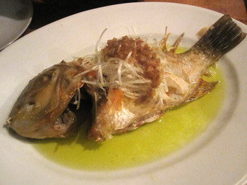 「Bistro ひつじや」料理 902573 本日の魚（イラ≒甘鯛）のアクアパッツァ