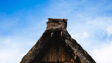 ランド ビュー / 23