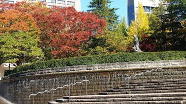 施設の敷地 / 17