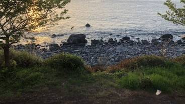 施設からの眺望 / 7