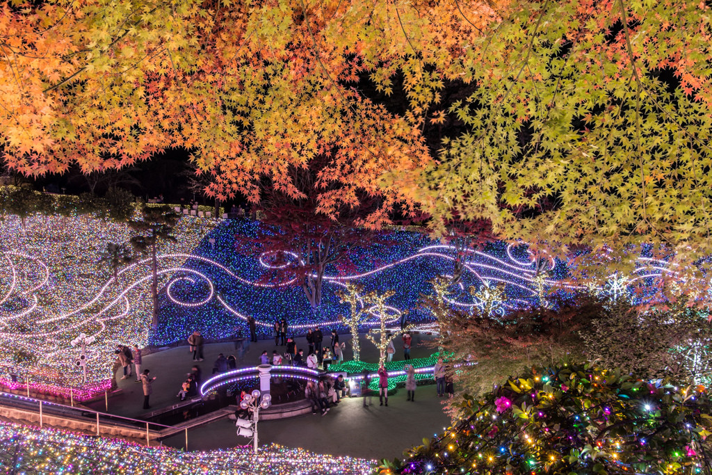 ホタル観賞に混浴も♪特別な時間を過ごせる高級宿4264181