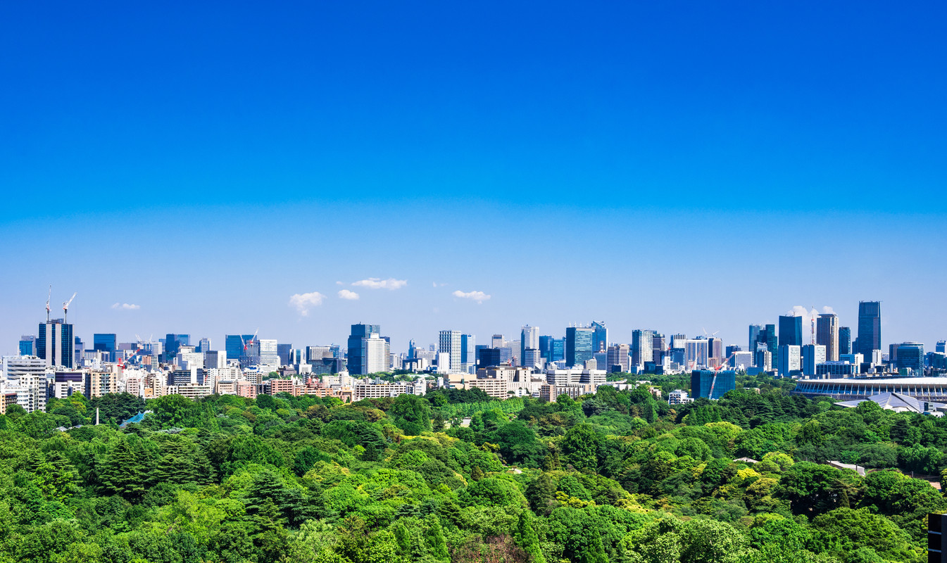 東京都庁からの眺め(2)