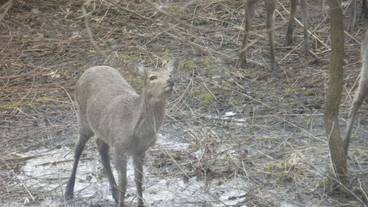 施設の敷地 / 30