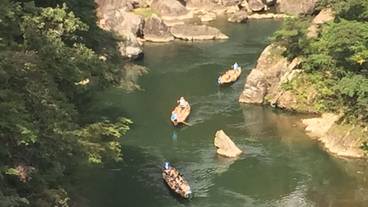 施設の敷地 / 31