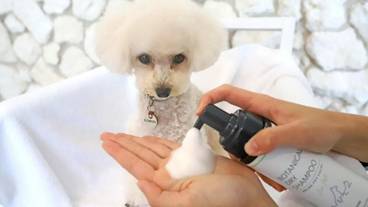 バスルーム / 27