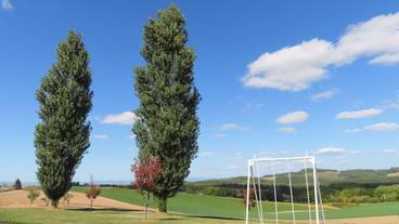子供用の遊び場 - 屋外 / 4
