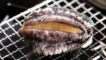 食事・飲み物 / 1