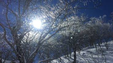 ランド ビュー / 30