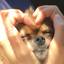 モフモフ触って癒されたい♡全国の動物とふれあえるスポット8選