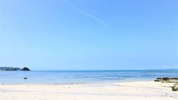 ビーチ / オーシャン ビュー / 14