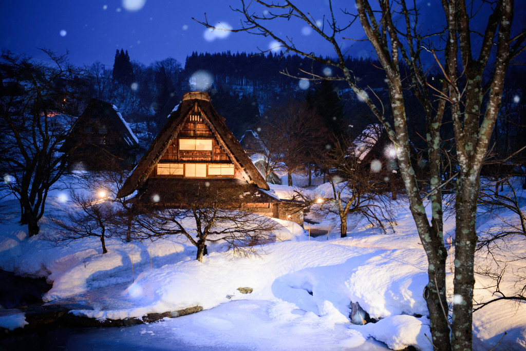 自然の美しさに癒される。岐阜県で気ままな一人旅3479526