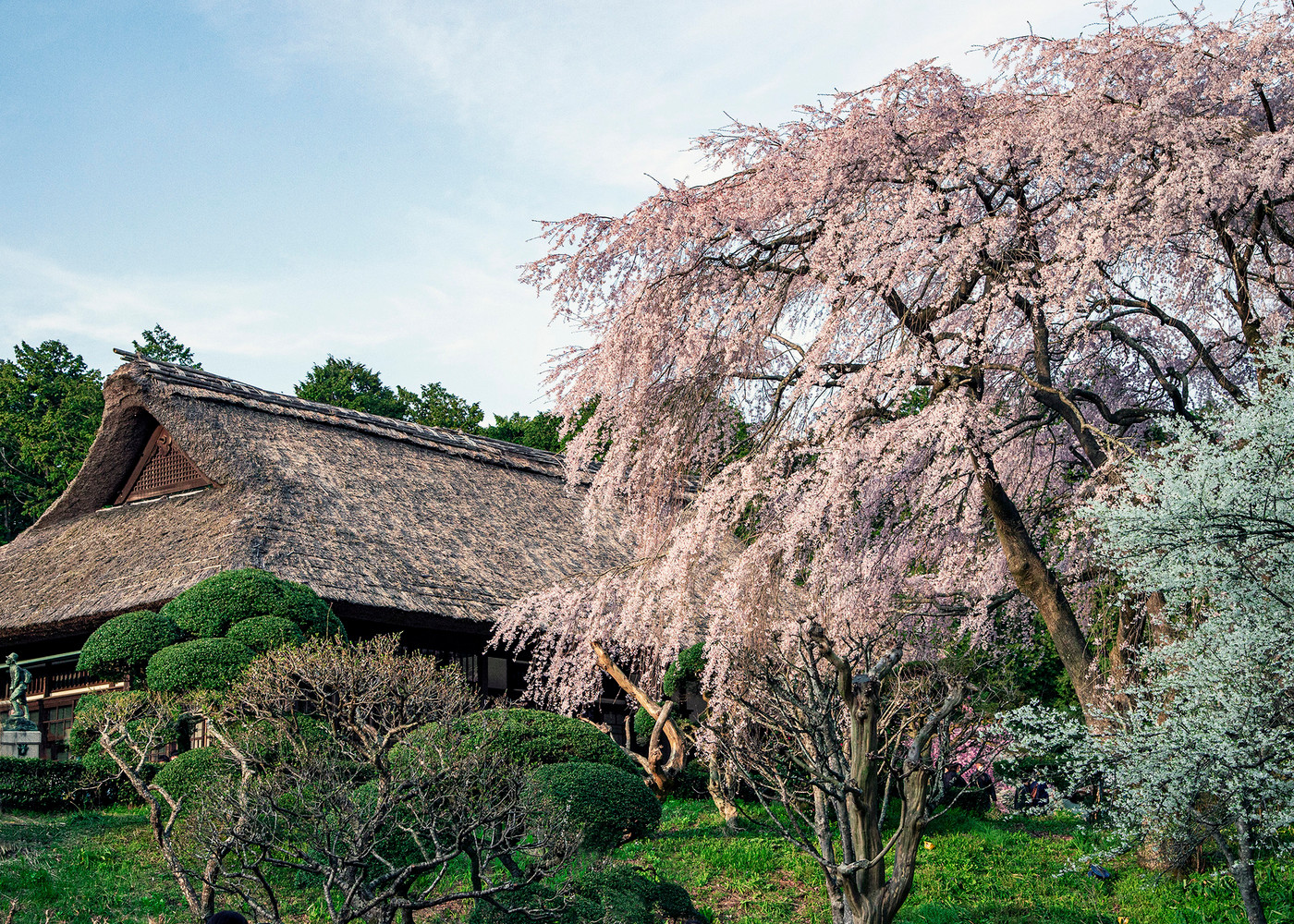 ▼周辺の絶景スポット「秩父宮記念公園」4279273