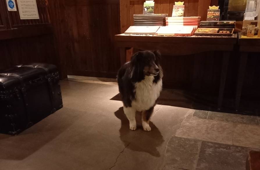 看板犬 カナルくん / 2