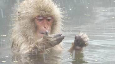 施設の敷地 / 15