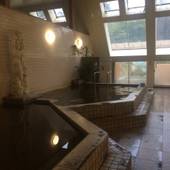 ピラミッド元氣温泉（旧：塩原温泉 ピラミッド温泉 自然館）（栃木県 旅館） / 4