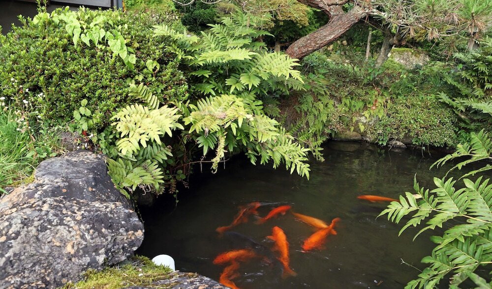 ガーデン ビュー