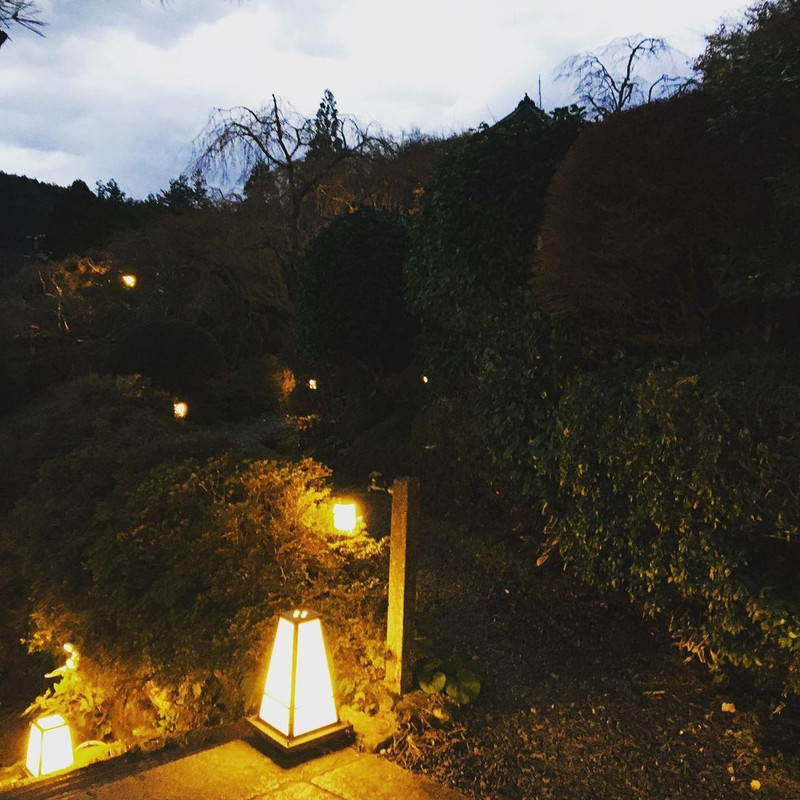 satoyagiiiiiiiiiiiiiiiiさんの写真 / 4